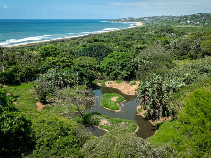 Exciting New Trail Runs Launched at Crocworld Conservation Centre