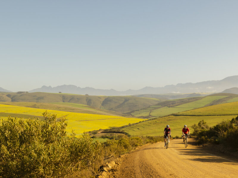 Double African Champion Headlines 2026 King Price Race to the Sea