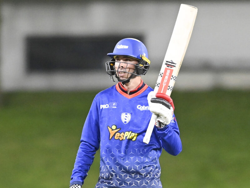 Lions, Titans, And Cobras Win Big On Sunday